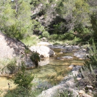 �lbum: Toll del Vidre - Mas de Pau (Arnes)