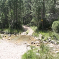 lbum: Toll del Vidre - Mas de Pau (Arnes)