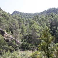 �lbum: Toll del Vidre - Mas de Pau (Arnes)