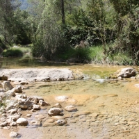 �lbum: Toll del Vidre - Mas de Pau (Arnes)
