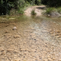 �lbum: Toll del Vidre - Mas de Pau (Arnes)