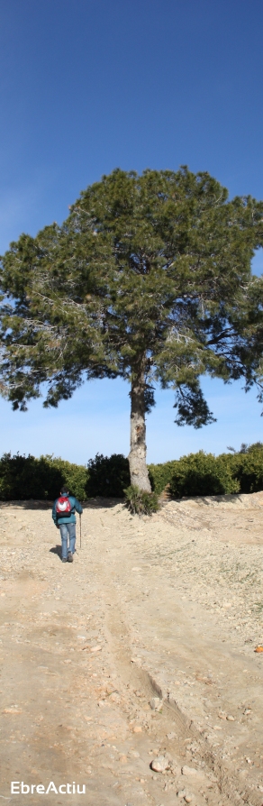 Ruta: Ermita de Solicr� - Torre de Campred� - Casa del Prat | EbreActiu.cat, revista digital d&rsquo;oci actiu | Terres de l&rsquo;Ebre ...