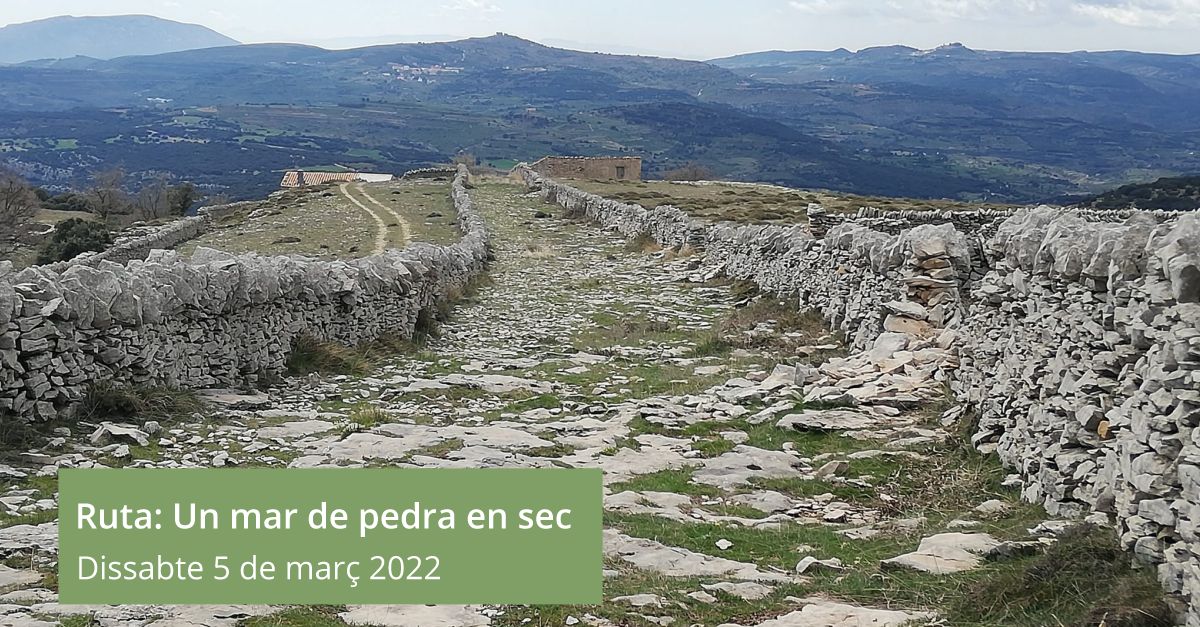 Ruta: Un mar de pedra en sec Ruta: Un mar de pedra en sec