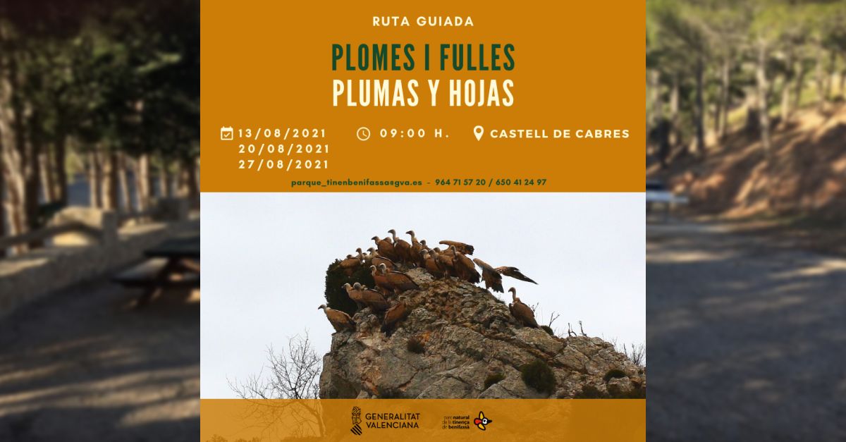 Ruta guiada Plumas y hojas en la Tinen�a de Benifass�