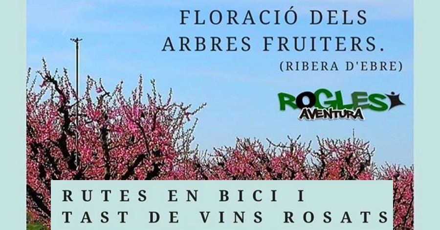 Rutas en bici y cata de vinos rosados. Floración árboles frutales Rutas en bici y cata de vinos rosados. Floración árboles frutales