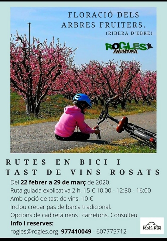 Rutes en bici i tast de vins rosats. Floració dels arbres fruiters Rutes en bici i tast de vins rosats. Floració dels arbres fruiters