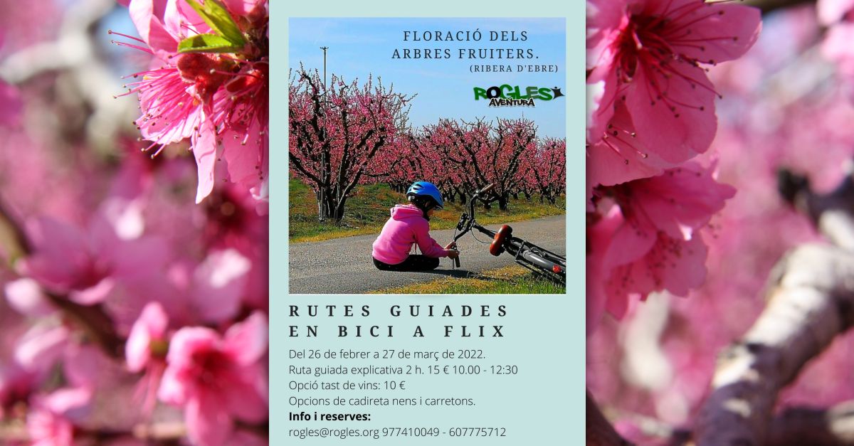 Rutas guiadas en bici a Flix para disfrutar de la floraci�n de los frutales