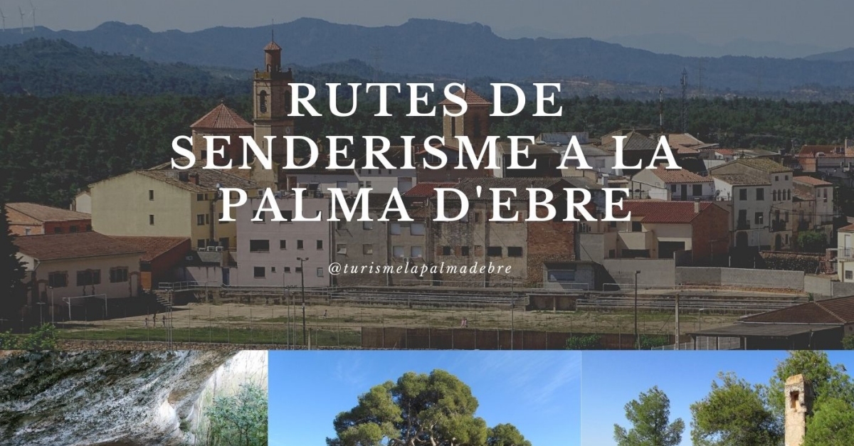 Ruta al Mas de Butxaca de la Palma d&rsquo;Ebre