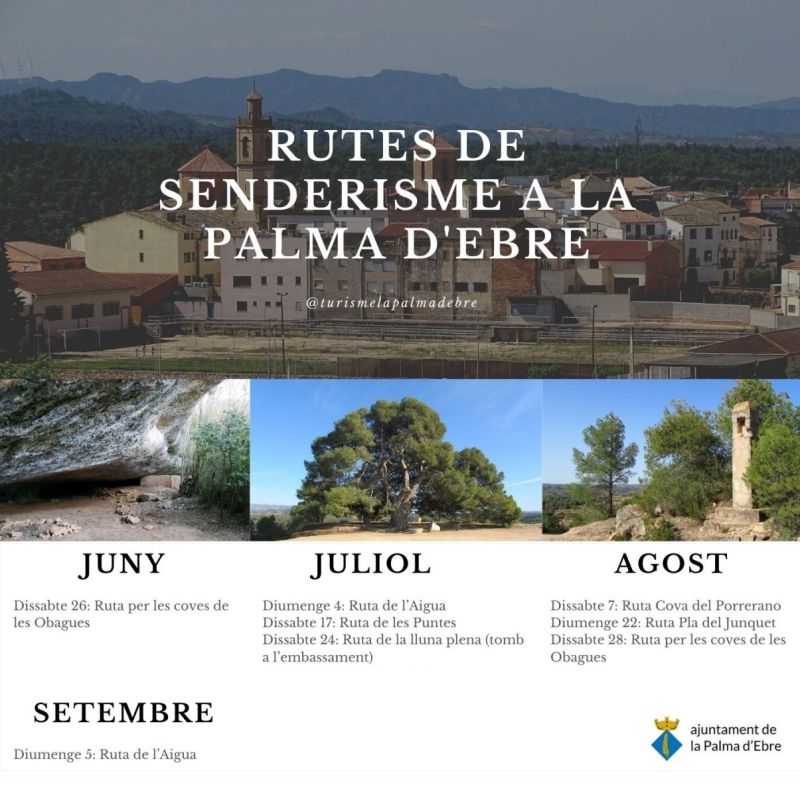 Ruta al Mas de Butxaca de la Palma d&rsquo;Ebre