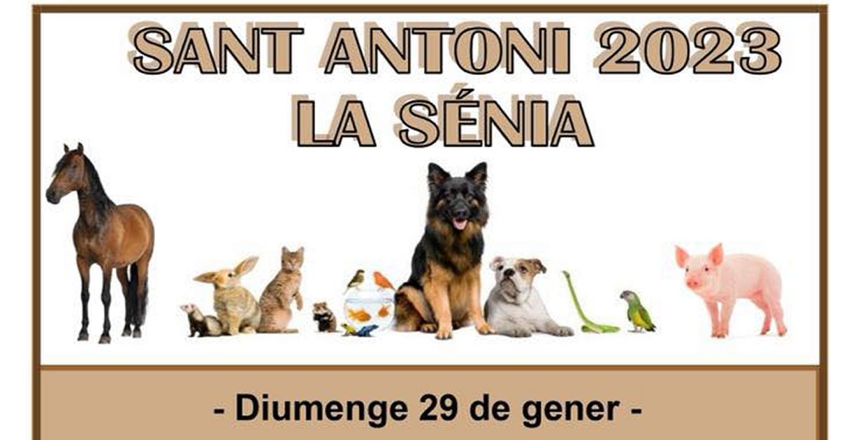 Festividad de San Antonio La S�nia