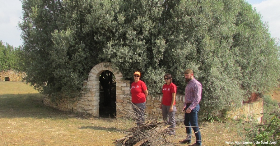 Les Jornades Europees del Patrimoni mostraran larquitectura rural de Sant Jordi