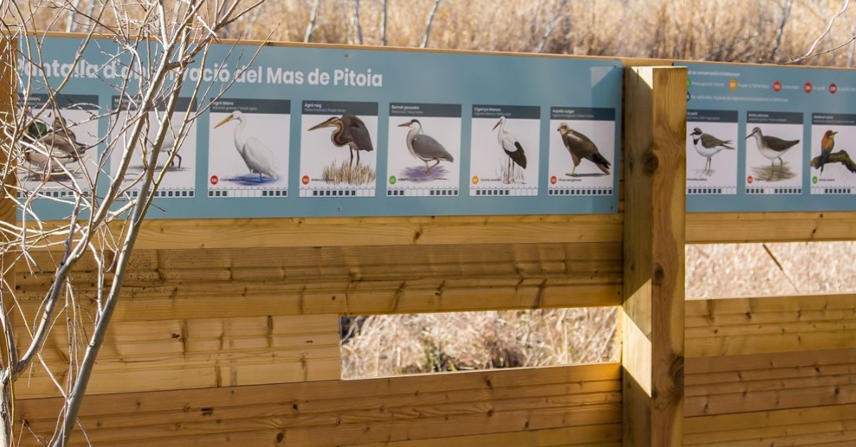 La Reserva Natural de Sebes renova els cartells informatius dels observatoris | EbreActiu.cat, revista digital d&rsquo;oci actiu | Terres de l&rsquo;Ebre ...