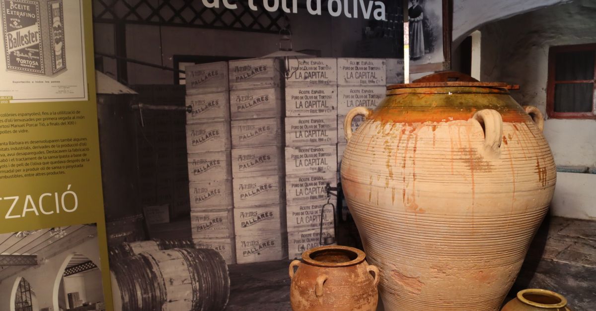 Segona edici� de l&rsquo;experi�ncia tur�stica per les planes del Montsi� per con�ixer la cultura tradicional vinculada a l&rsquo;oli