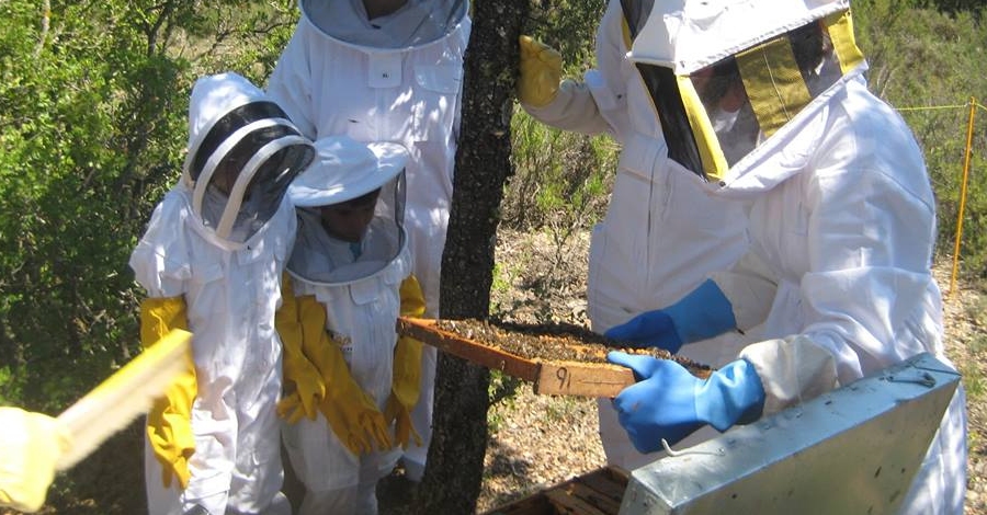 “El sabor femenino del medio rural: la mujer como motor de desarrollo” | EbreActiu.cat, revista digital de ocio activo | Terres de l’Ebre... “El sabor femenino del medio rural: la mujer como motor de desarrollo” | EbreActiu.cat, revista digital de ocio activo | Terres de l’Ebre...