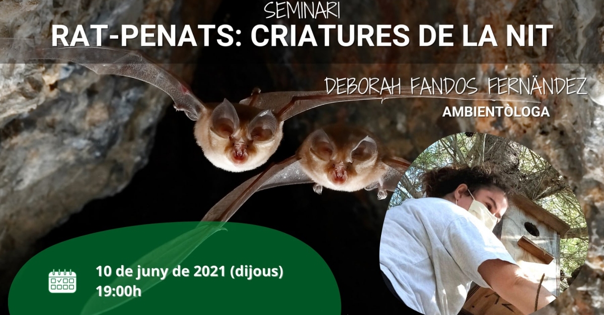 Seminario: Murci�lagos, criaturas de la noche