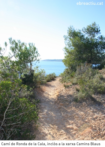 Publicada la relaci� de banderes blaves 2015 | EbreActiu.cat, revista digital d&rsquo;oci actiu | Terres de l&rsquo;Ebre ...