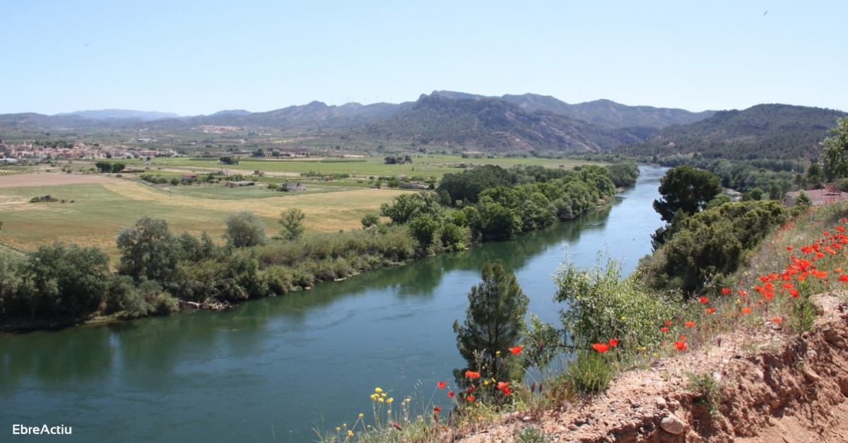 Senderisme a Ascó, a la Ribera d’Ebre | EbreActiu.cat, revista digital d’oci actiu | Terres de l’Ebre ... Senderisme a Ascó, a la Ribera d’Ebre | EbreActiu.cat, revista digital d’oci actiu | Terres de l’Ebre ...