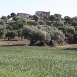 Senderismo en Asc�, en la Ribera de Ebro