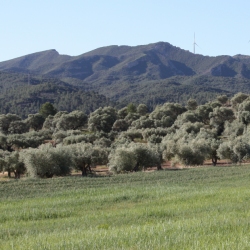 Senderismo en Asc�, en la Ribera de Ebro