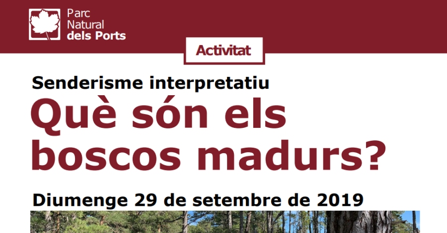 Senderisme interpretatiu: Què són els boscos madurs? Senderisme interpretatiu: Què són els boscos madurs?