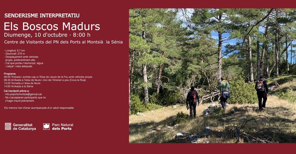 Senderisme interpretatiu: Els Boscos Madurs Senderisme interpretatiu: Els Boscos Madurs