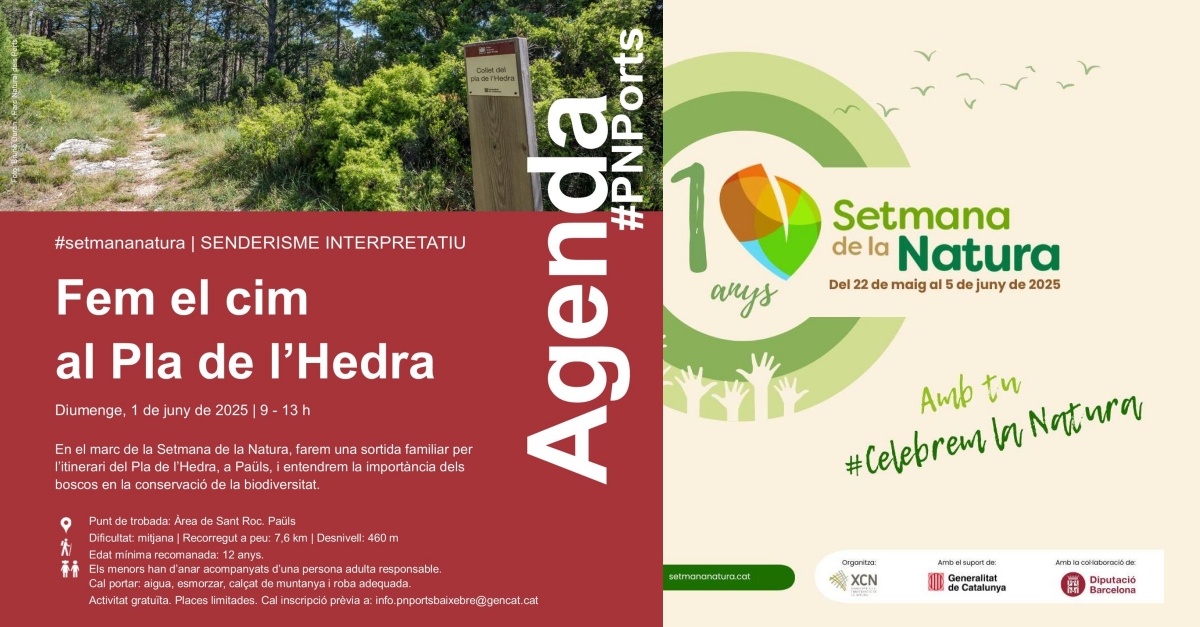 Senderisme interpretatiu: Fem el cim al Pla de l’Hedra
