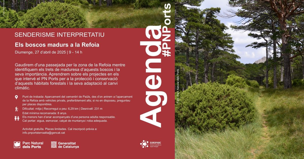 Senderisme interpretatiu: els boscos madurs de la Refoia Senderisme interpretatiu: els boscos madurs de la Refoia
