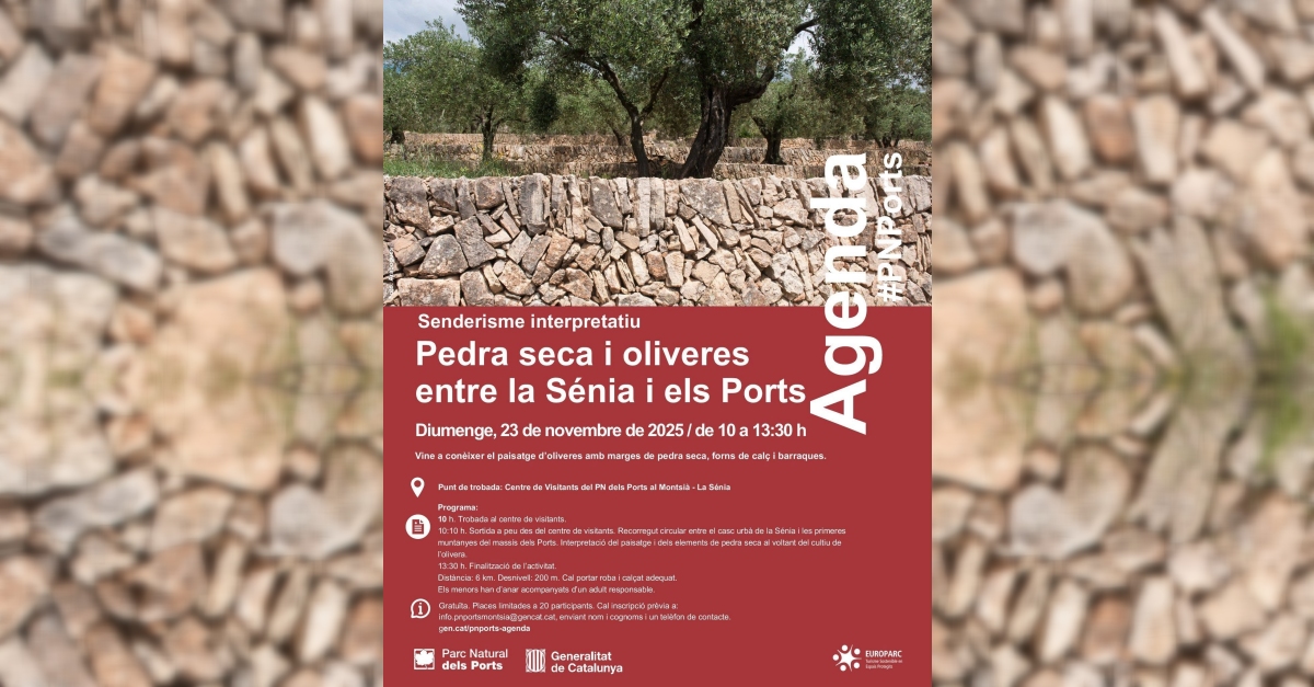 Senderismo interpretativo: Piedra seca y  olivos entre la S�nia i els Ports