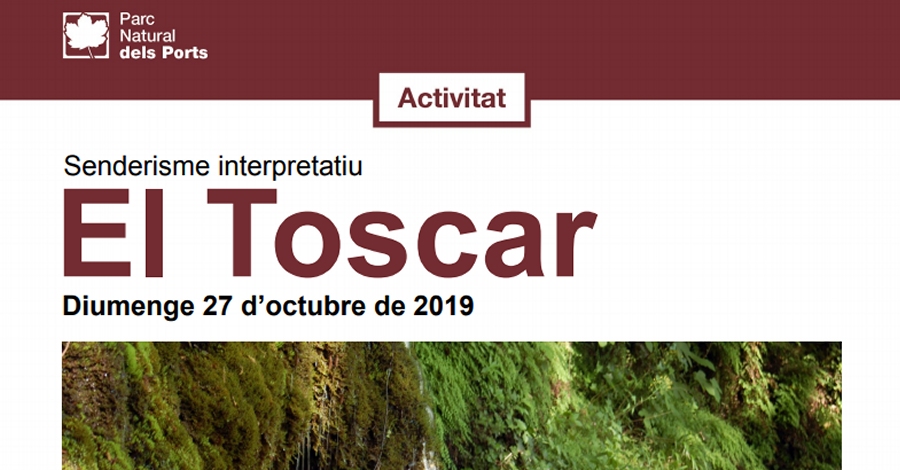 Senderisme interpretatiu: El Toscar Senderisme interpretatiu: El Toscar