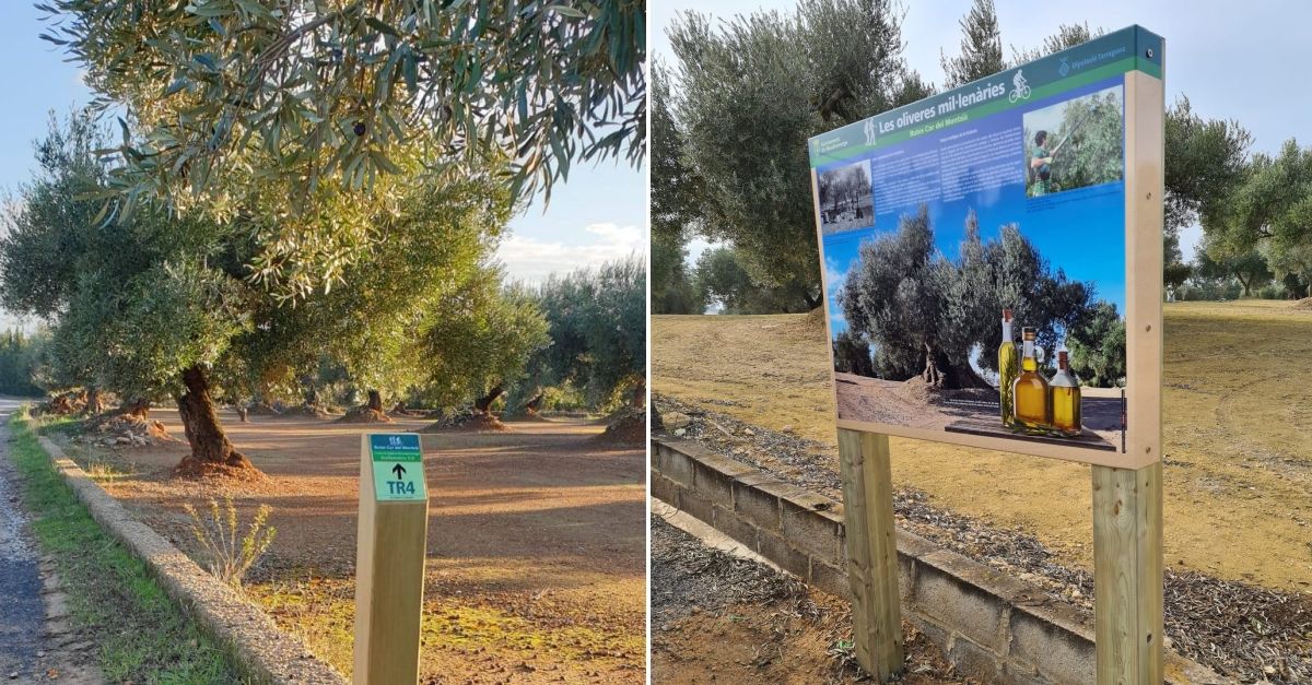 Masdenverge senyalitza tres rutes tur�stiques del terme municipal | EbreActiu.cat, revista digital d&rsquo;oci actiu | Terres de l&rsquo;Ebre ...