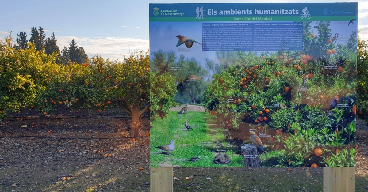 Masdenverge senyalitza tres rutes turístiques del terme municipal | EbreActiu.cat, revista digital d’oci actiu | Terres de l’Ebre ... Masdenverge senyalitza tres rutes turístiques del terme municipal | EbreActiu.cat, revista digital d’oci actiu | Terres de l’Ebre ...