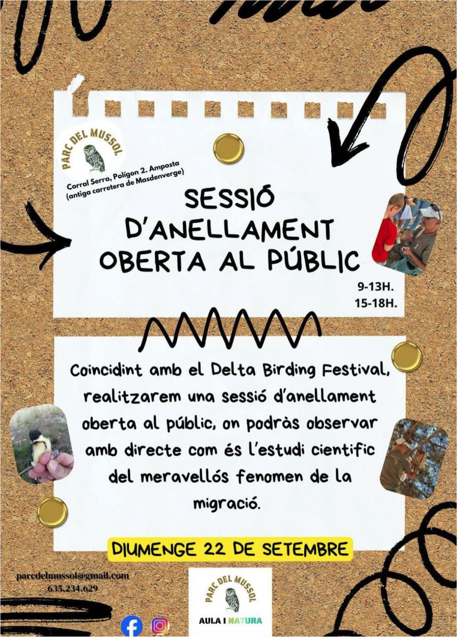 Sessi� d�anellament oberta al p�blic