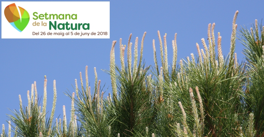 Setmana de la Natura 2018 Setmana de la Natura 2018