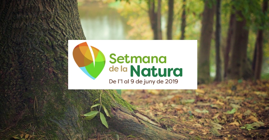 Bioblitz a la Fundaci� Plegadis