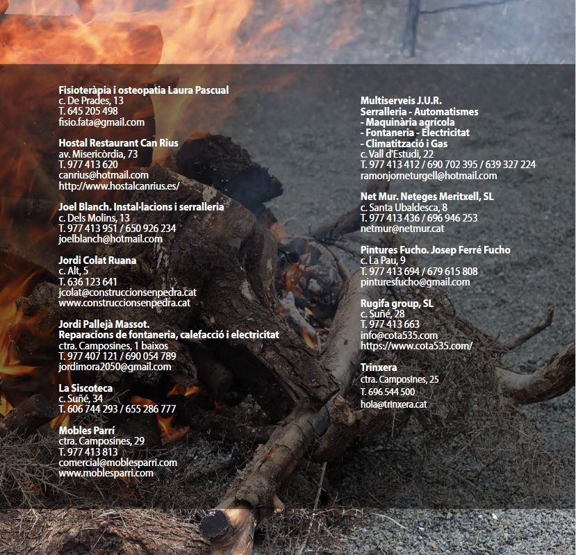 M�s de 70 expositors participaran a la Festa de l&rsquo;Oli de la Fatarella | EbreActiu.cat, revista digital d&rsquo;oci actiu | Terres de l&rsquo;Ebre ...