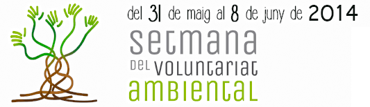 Taller de construcci� de caixes niu i plantada d�arbres