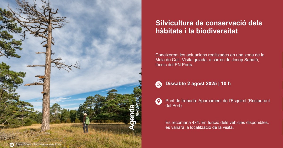 Silvicultura de conservaci� dels h�bitats i biodiversitat