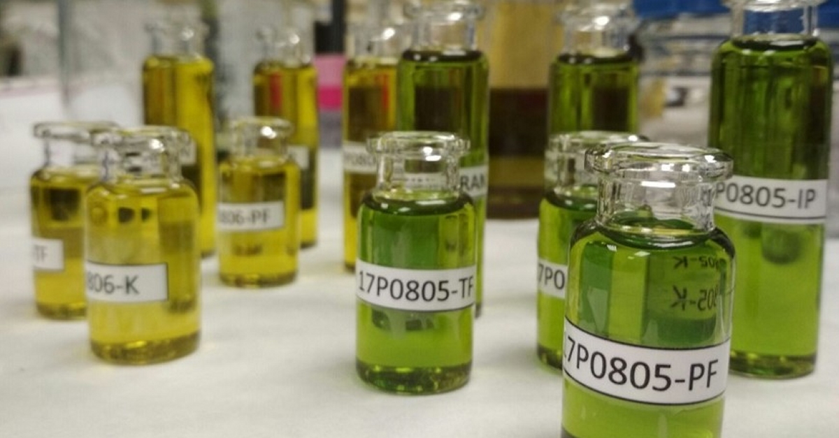Un consorci catal crea un sistema per verificar l’origen de l’oli d’oliva i detectar possibles adulteracions