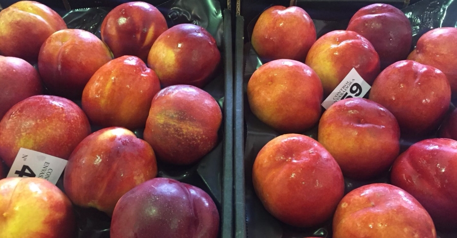 Soldebre arrenca la campanya de la fruita dola incorporant la varietat del prssec pla