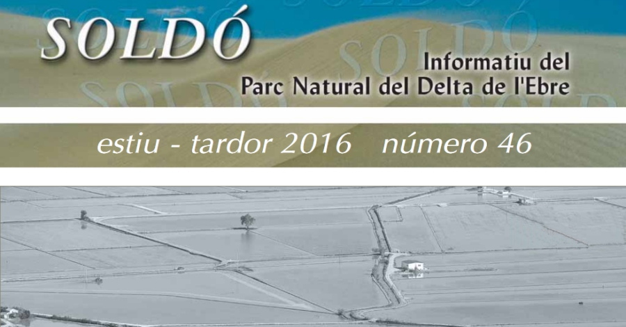 Nova edici� del �Sold� estiu-tardor 2016