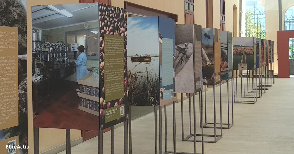 Els sons de l’elaboració de l’oli i de la cuina de Santa Bàrbara | EbreActiu.cat, revista digital d’oci actiu | Terres de l’Ebre ... Els sons de l’elaboració de l’oli i de la cuina de Santa Bàrbara | EbreActiu.cat, revista digital d’oci actiu | Terres de l’Ebre ...