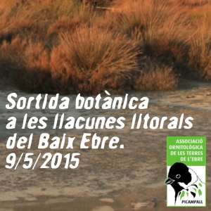 Sortida bot�nica a les llacunes litorals del Baix Ebre