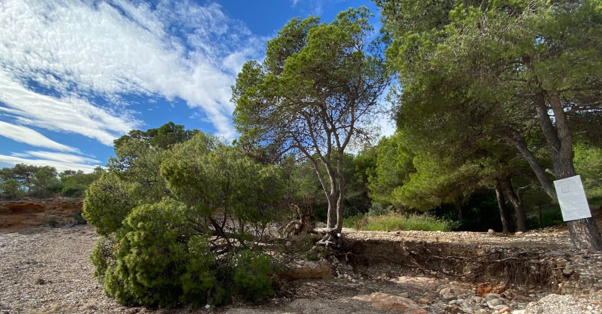 Saportaran 1.000 m3 de sorra per regenerar els danys del temporal Nelson a les platges caleres