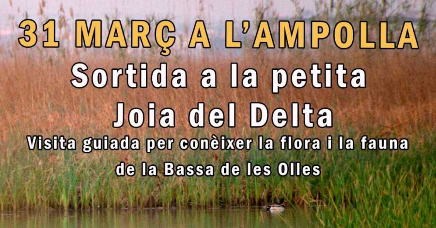 Salida a la peque�a joya del delta