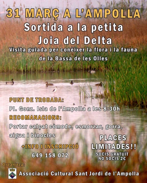 Sortida a la petita joia del delta Sortida a la petita joia del delta