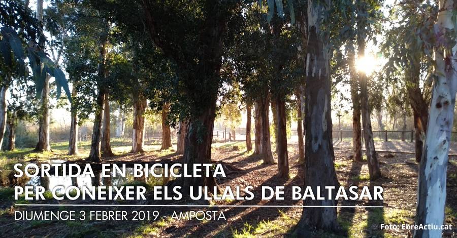 Sortida en bicicleta per con�ixer els Ullals de Baltasar -CANCEL�LADA-