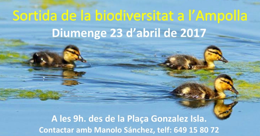 Salida de la biodiversidad a la Ampolla