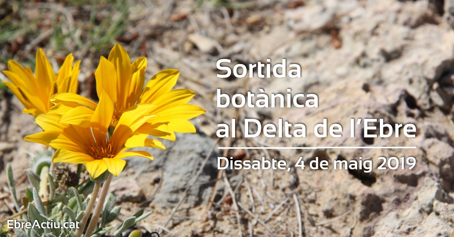 Sortida bot�nica al Delta de l�Ebre