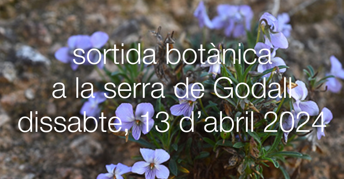 Sortida bot�nica a la serra de Godall