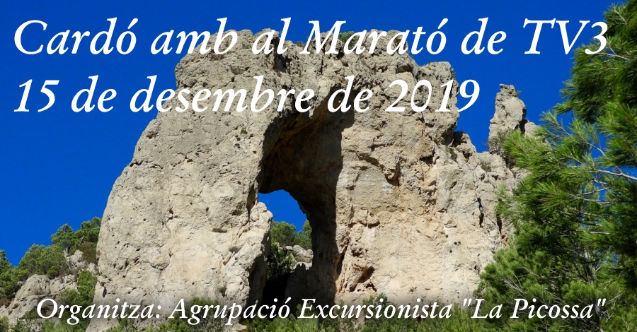 Cardó amb la Marató de TV3 Cardó amb la Marató de TV3
